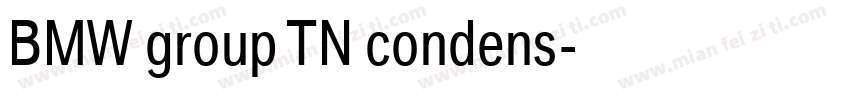 BMW group TN condens字体转换
